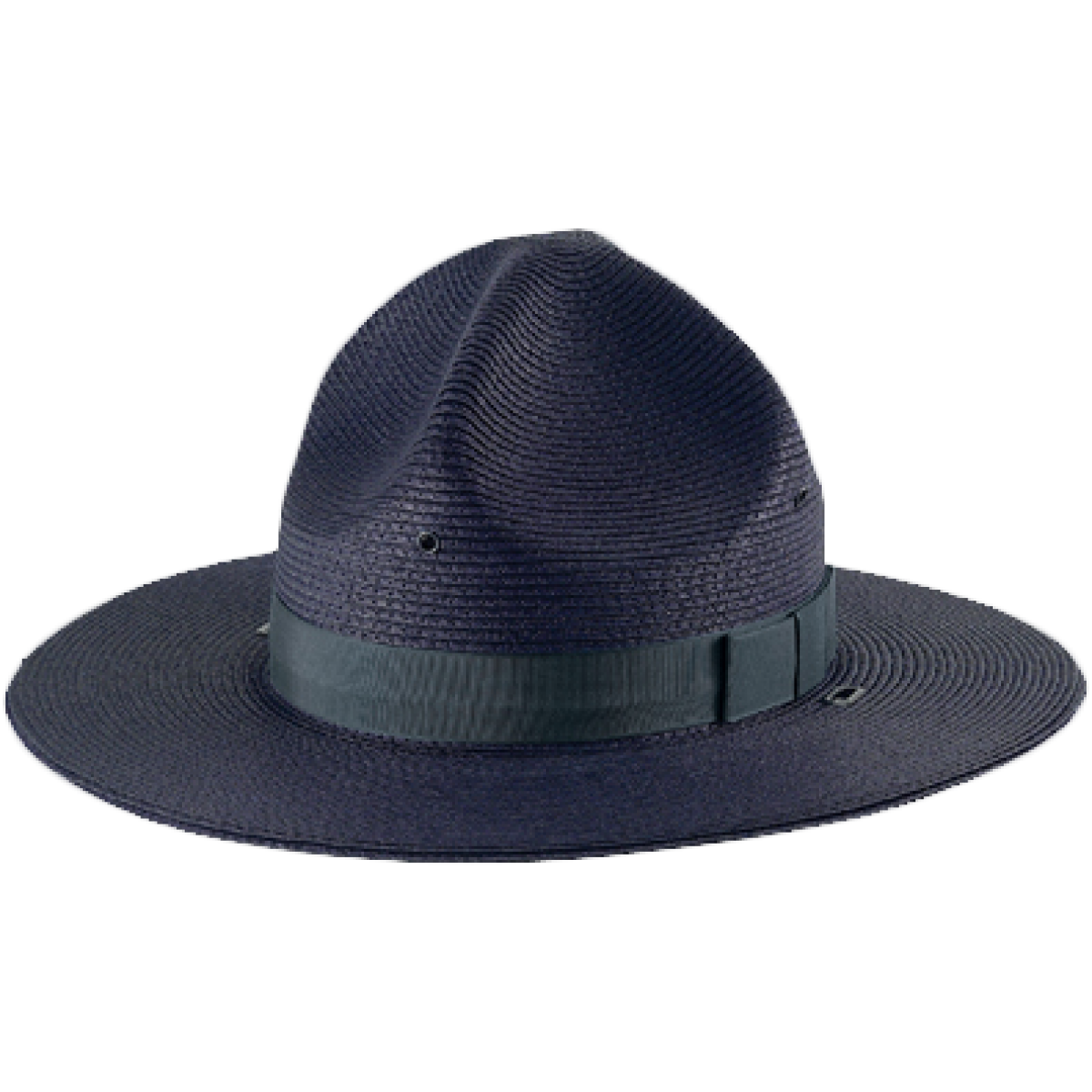 navy blue campaign hat